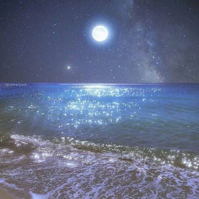 Phạm Văn Toàn avatar